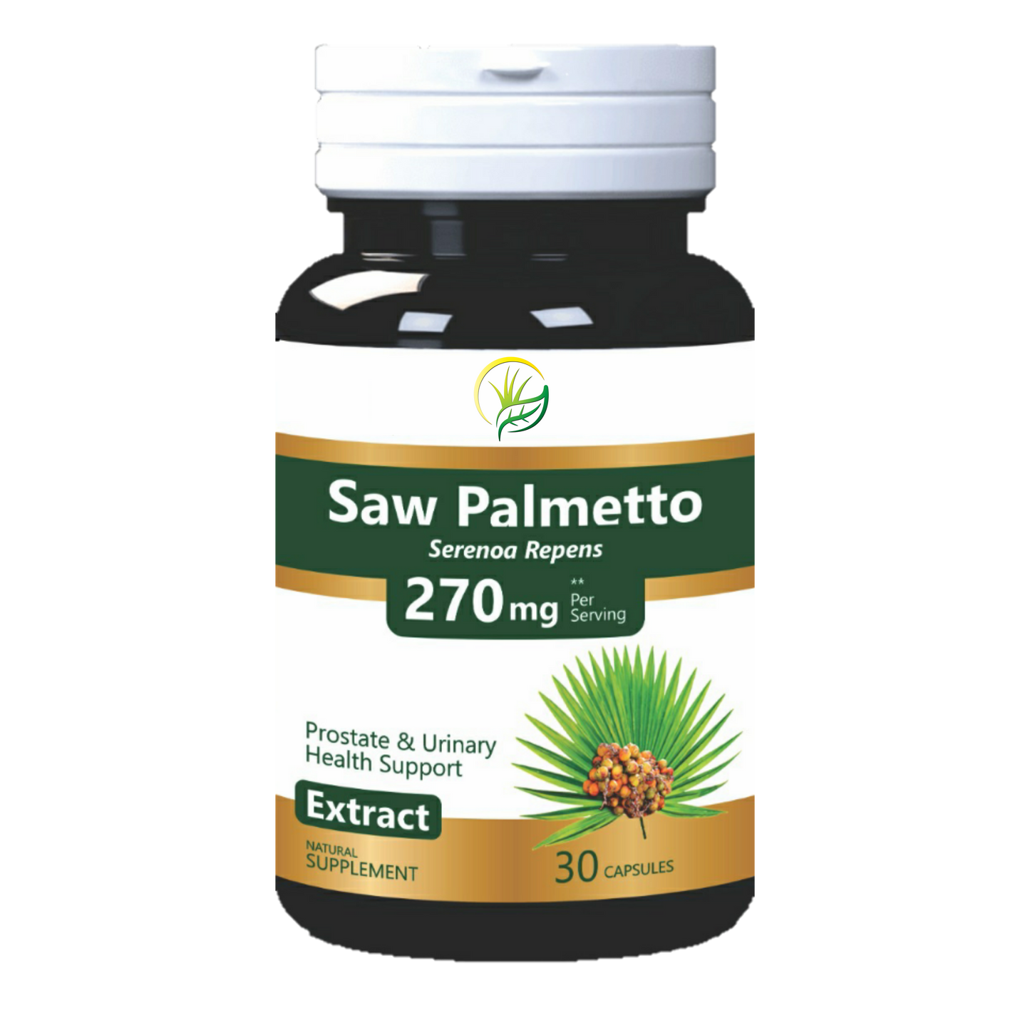 SAW PALMETTO